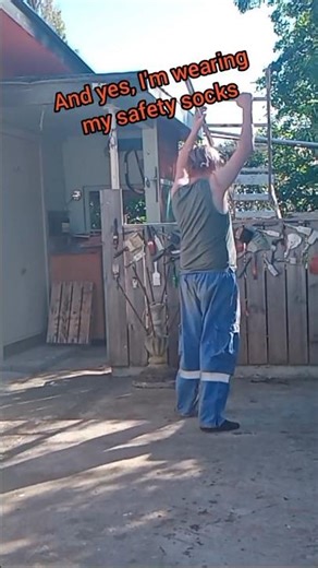 Tree climbing... made easy #TwoLadders #arborist