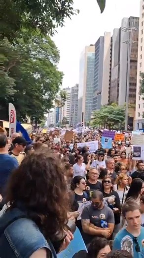 protothema.gr on Instagram: "❗️Διαμαρτυρίες σε διάφορες πόλεις της Βραζιλίας γίνονται μετά τον ξυλοδαρμό μέχρι θανάτου ενός αγαπημένου αδέσποτου σκύλου στη Φλοριανόπολις. ▪️Ο δεκάχρονος σκύλος, Orelha, αναγκάστηκε να υποβληθεί σε ευθανασία λόγω των τραυμάτων του. Σύμφωνα με τους κατοίκους της περιοχής, ο Orelha ήταν ευγενικός και η μασκότ της γειτονιάς, αγαπητός σε όλους. #protothema #news #brazil"