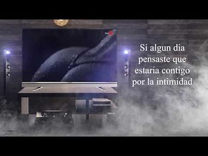 Grupo La Corte-Pido y Doy Placer (video lyric)