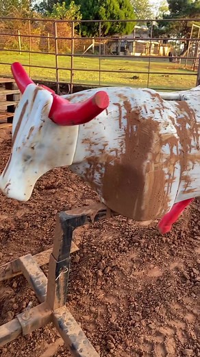 Yes that’s MUD! 😂 the arena was a little too wet that day! #ropingdummiestexas - - - - - - #teamroping #roping #horsetraining #equine #ropehorse #rodeotime #rodeo #cowboy #cowboys #yeehaw #roper #texas #ropingdummy #horses #nolanranch