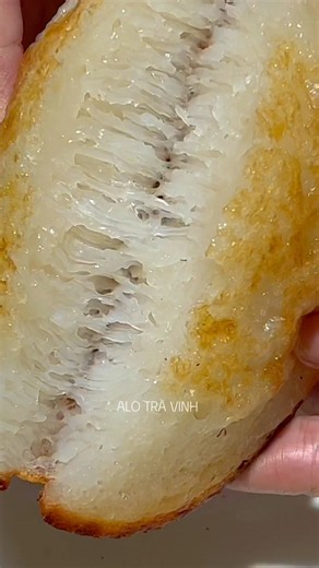 Bánh bò nướng rễ tre thành công ngay lần đầu #alotravinh #food