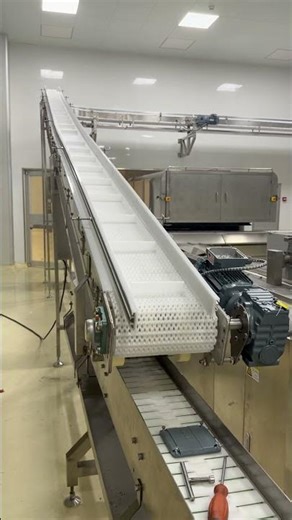 Mesh belt bridge conveyors make production smoother. #autodraw #conveyoridler