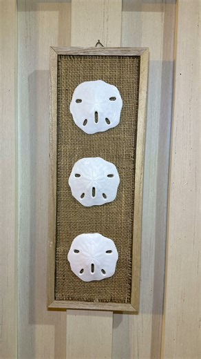 9.2K views · 52 reactions | Sand Dollar Shore Living Dollar Tree DIY sign #BeachDIY #dollartree #dollartreediy #CraftyBeach #ShoreLiving | Crafty Beach | Facebook