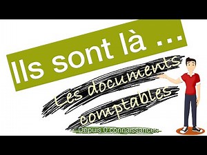 N6 - Accounting documents: journal / general ledger / balance