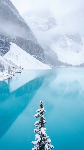 3K views · 61 reactions | I’m excited to partner with @forestryforthefuture. When it comes to forestry, Canada has some of the strictest regulations in the world. They are committed to growing a green economy and driving our country towards a net - zero carbon future. Living in the Canadian Rockies the outdoors have become SO important to me. I hope we continue moving toward a more responsible path so that future generations can enjoy it too. | Maddy Elrick | Facebook