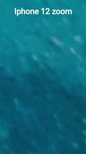 Iphone 12 zoom
