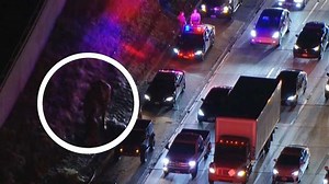 Pferde rennen in Kalifornien auf Autobahn – Riesenstau nach Unfall | wetter.com