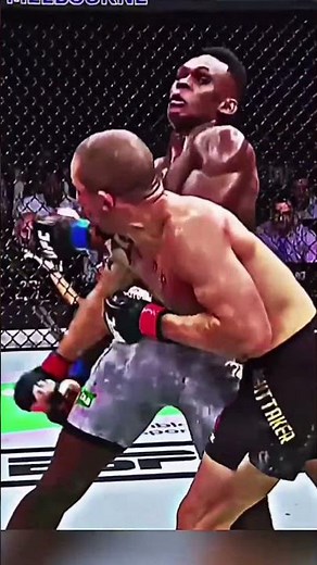 You Won't Believe These UFC Finishes!