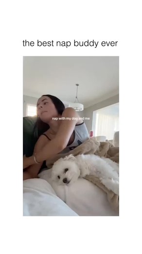 @DOG on Instagram: "when they wake up and choose to stay >> via @bellagreen19"
