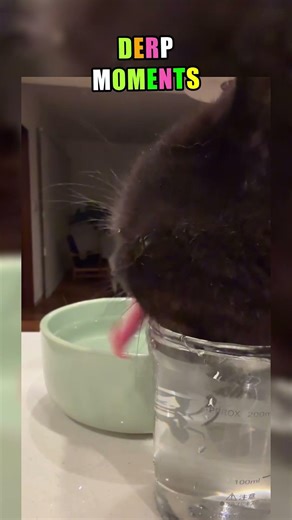 Timeline Adjustment #12 | Essential Meme History #canonmemevent #timeline #essentialmemes #memes