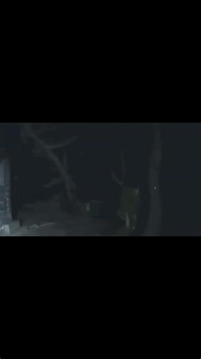 宮城の崖の上の神社