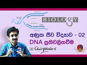A/L Molecular Biology - Lesson 2 DNA Replication ප්‍රතිවලිත වීම
