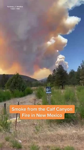 Massive Wildfires in New Mexico - June 15 Footage