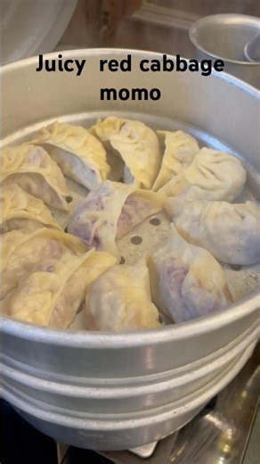 Juicy red cabbage momo