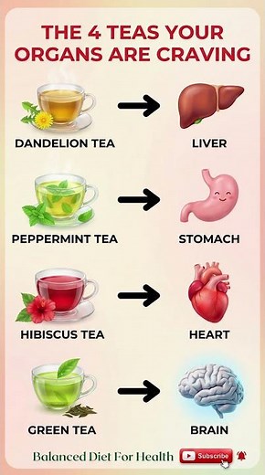 The 4 Best Herbal Teas Your Organs Are Craving (Liver, Stomach, Heart & Brain)
