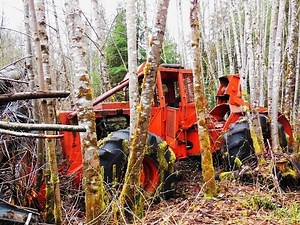 Pieces of the Forest-logging equipment left