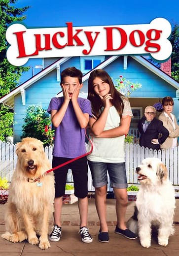 Lucky Dog (2015)