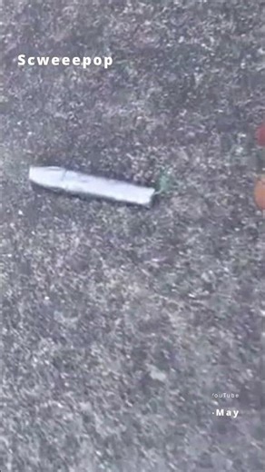 When You Think You’re Ready… But the Firework Disagrees 😆🔥#fireworks #explosion