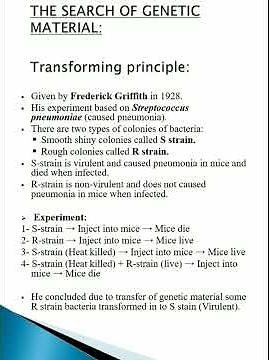 Griffith's Experiment|Transformation Principle|Molecular basis of inheritance|Biology|Class12|NCERT