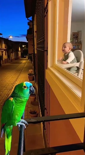 El loro quiso enseñarle “MANGO” al bebé… pero el final NO lo vio venir 😂🦜
