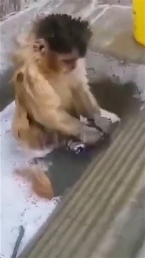 #funnyanimals #crazy #entertainment #youtube #viral #yt