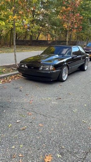 1.3K views · 1.2K reactions | Fled you. Pay close attention. It’s...