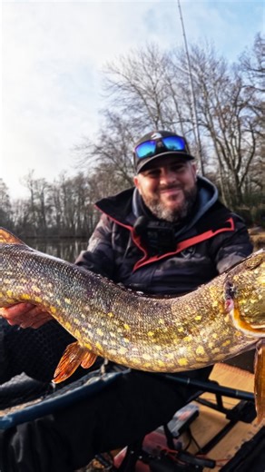 Mordelet Ludovic on Instagram: "Pêche du brochet aux étangs du parc (lapecheduparc) Retrouvez le matériel de pêche sur le site culturepeche.com Code-10%👉FUN10 Retrouvez le kayak sur le site Pike board Code -5%👉FUN5 🎣Matériel 🔸Rockvibe 🔸Canne Favorite SX1 10-30g 🔸Moulinet Favorite X1 100 🔸Tresse Favorite U1 🔸Fluoro Favorite U1 🔸Épuisette Pafex #peche #fishing #pecheauleurre #angler #pecheur #pike #pikefishing #pikeboard #brochet #brochetauleurre #babylonfishing"