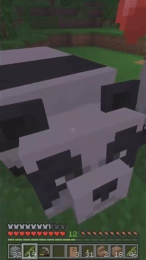 Adorable Pandas on Minecraft 😍 #minecraft #minecraftsurvival #minecraftanimals