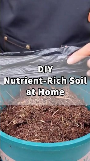 Make Nutrient-Rich Soil at Home – Easy DIY Guide!