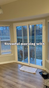 1.5M views · 1.4K reactions | Stressful morning with identical twin...