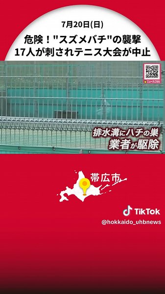 ソフトテニスの大会中にスズメバチが17人を襲撃…排水溝に「キイロスズメバチ」の巣が見つかり業者が駆除_大会は中止に〈北海道・帯広市〉 #北海道ニュースUHB #北海道 #帯広市 #帯広の森運動公園 #ソフトテニス #蜂 #キイロスズメバチ #ハチ #スズメバチ #テニス #TikTokでニュース