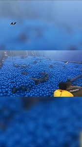 Did you know that the Calypso crab scene in Pirates of the Caribbean was achieved without the use of CGI on set? Instead, Disney employed an innovative technique by dropping 175,000 blue balls onto the actors to achieve realistic physics, which were subsequently replaced with digital crabs by ILM, making this one of the most extraordinary VFX tricks in the history of the franchise. Pirates of the Caribbean: Dead Man's Chest follows Captain Jack Sparrow, Will Turner, and Elizabeth Swann as they c