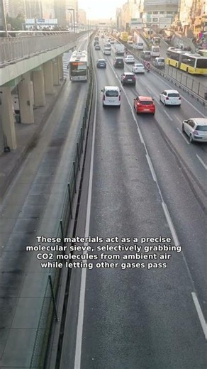 The secret to reversing climate change is