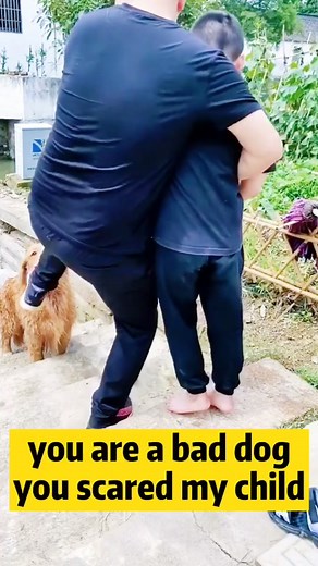 Do u think Beer is a brave dog?#dog #pet #goldenretriever #dogsoftiktok #puppy