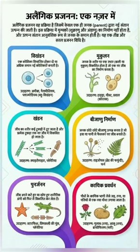 Asexual Reproduction#gk