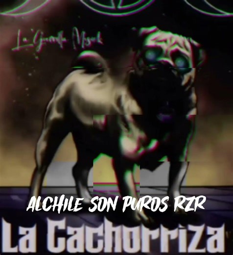 la cachorriza la guerrilla musick