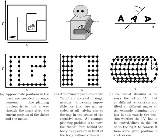 A hybrid biological neural network model for solving problems in cognitive planning - Scientific Reports