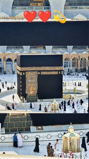 make madina Sharif reel ⚡