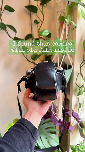 Discovering a Vintage Camera with Untouched Film | Plastic Memories