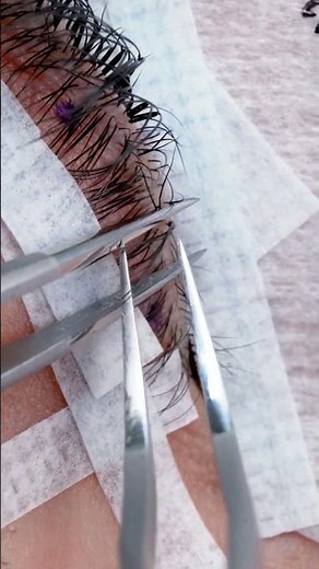 Creating Seamless Natural-Looking Lash Extensions