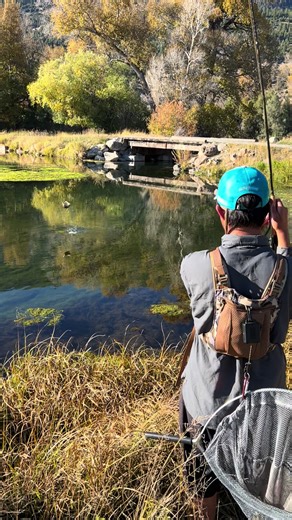 Sick Rainbow Trout after a competition in Montana! #flyfishing #fishing #trout #Outdoors #fyp