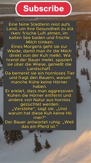 Die Dame verwechselte eine Kuh mit einem Pferd