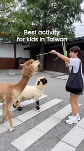990 reactions · 127 shares | BEST ACTIVITY FOR KIDS IN TAIWAN  #taiwan #yilan #travel #fyp #reels | The Cenzons | Facebook