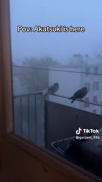 POV: Meet the Akatsuki from Naruto