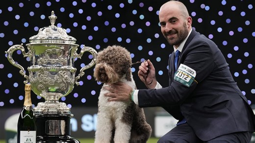 A look at all the Crufts 2023 winners