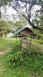 From FARM to TABLE experience na SAMGYUP sa BUKID dito sa San Jose Del Monte Bulacan 📍 Paradise Hill Farm PH (Paraiso Hill Restaurant) Brgy. Paradise III, SJDM Bulacan #paradisehillfarm #paraisohillrestaurant #eatbulacan #samgyupsabukid #samgyupsasjdm #kwentongbulakenyo #bulacansbest | Eat Bulacan