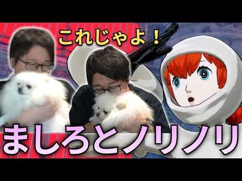 【ペルソナ5スクランブル】ペルソナBGMでましろとノリノリのたいじ【2026/05/15】【ネタバレあり】