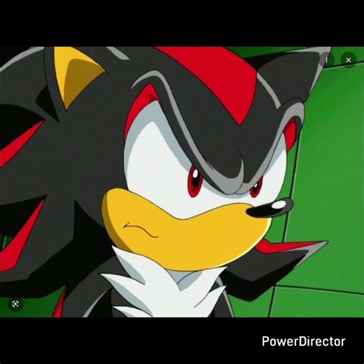 Sonadow Sonic wants Shadow to make love to him #sonicthehedgehog #sonadow #random #funny #gay