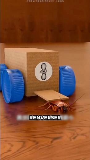 Building a plane with flies: the shocking tutorial (not recommended) ✈️🪰