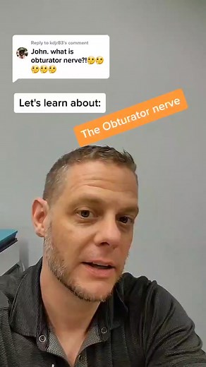 Understanding the Obturator Nerve: Anatomy, Functions, and Remedies